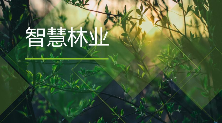 智慧林業解決方案